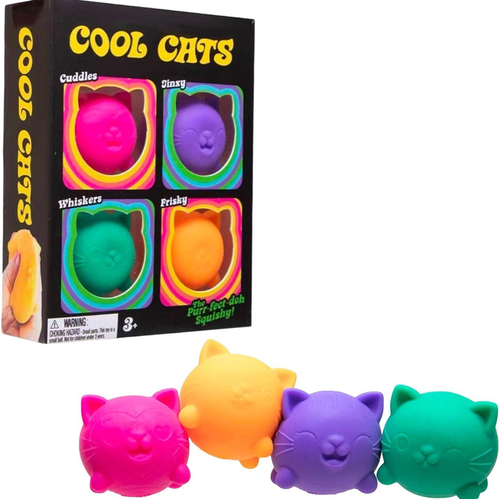 Schylling NeeDoh Chat Mignon A - Kids Toys Box avis et prix