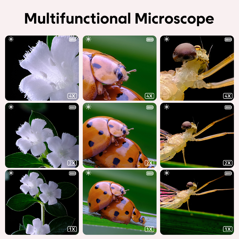 Mini Microscope optique pour e - Toys For Kids Video avis et prix